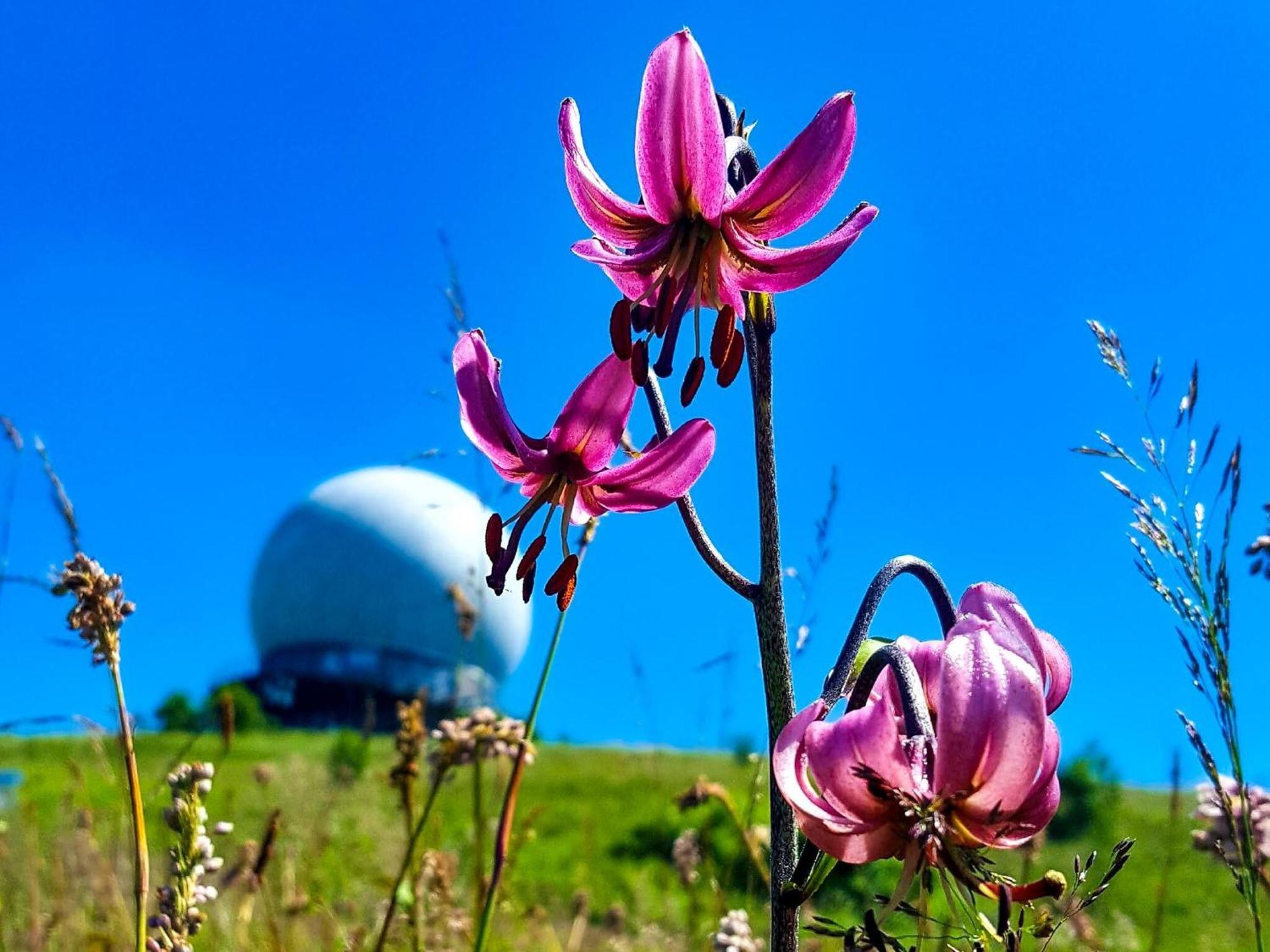 Peterchens Mondfahrt - Wasserkuppe Gersfeld Exterior foto
